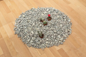 Image Coming Soon (5)