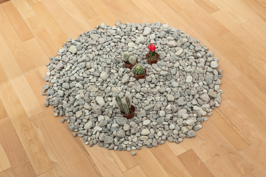 Image Coming Soon (5)